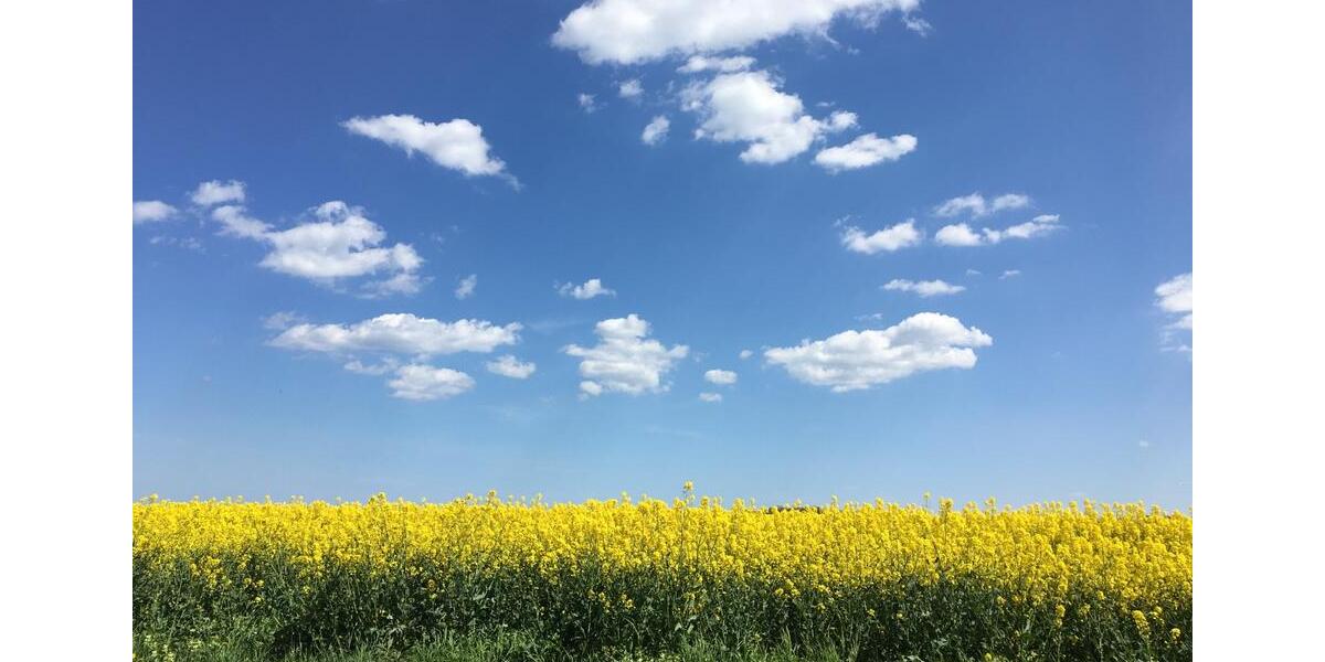 Bungalow Lubmin - 2 Zimmer, 50 m&sup2;, 230.000&euro; | Angebot:25906940