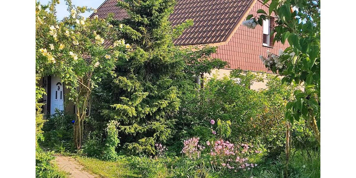 Einfamilienhaus Karlsburg - 6 Zimmer, 100 m&sup2;, 170.000&euro; | Angebot:26049529