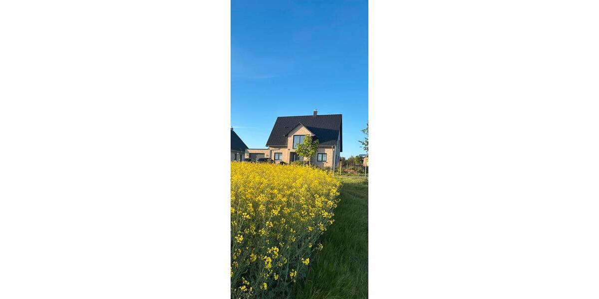Einfamilienhaus Greifswald - 8 Zimmer, 170 m&sup2;, 730.000&euro; | Angebot:26963095