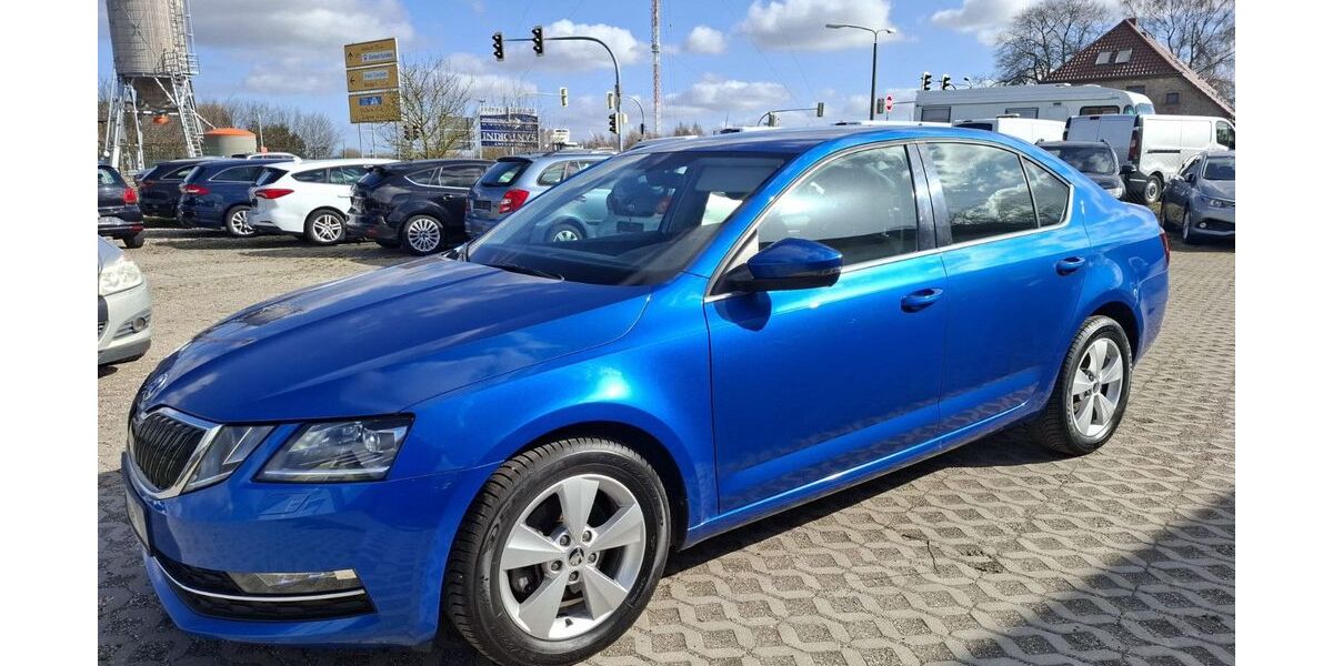 Skoda Octavia 103.500 km 15.890 &euro; Karlsburg OT Moeckow 17495