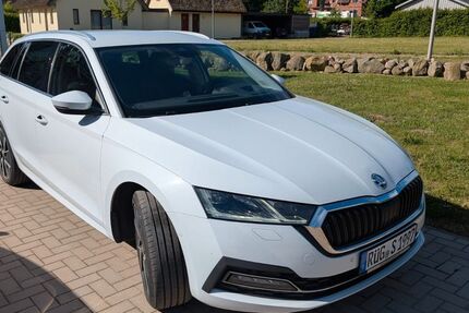 Skoda Octavia 110.000 km 18.000 &euro; Garz 18574