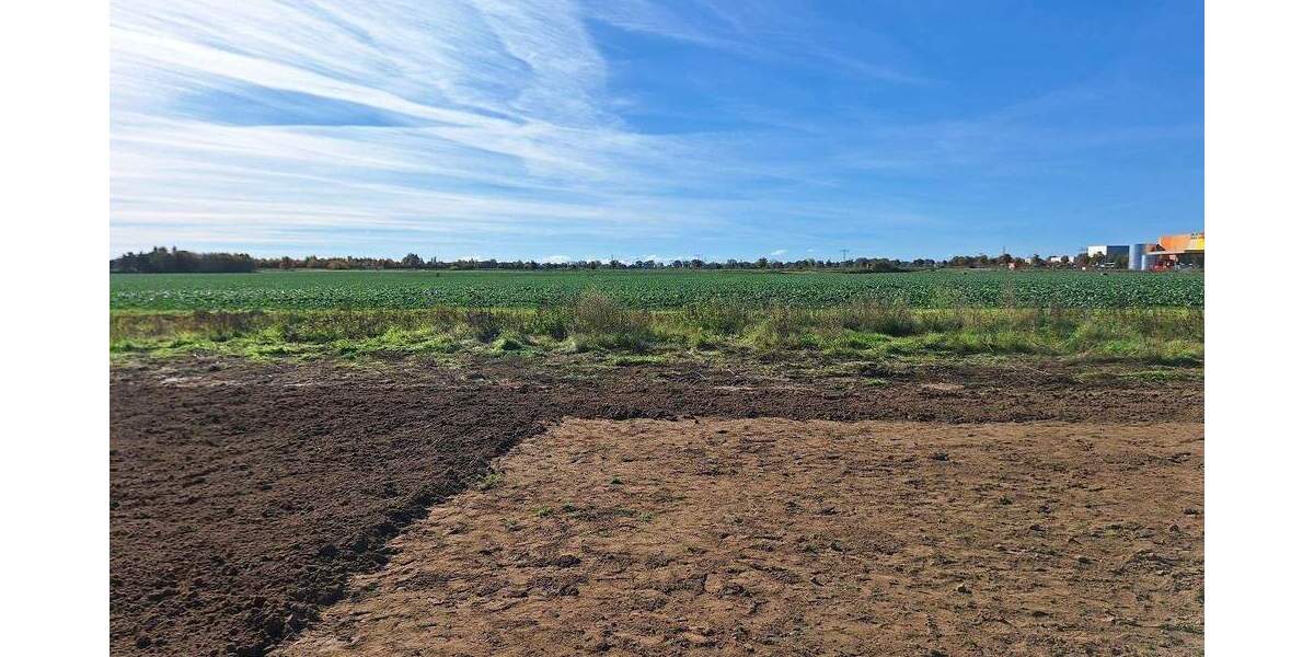 Einfamilienhaus Greifswald Groß Schönwalde - 6 Zimmer, 190 m&sup2;, 699.000&euro; | Angebot:25664109