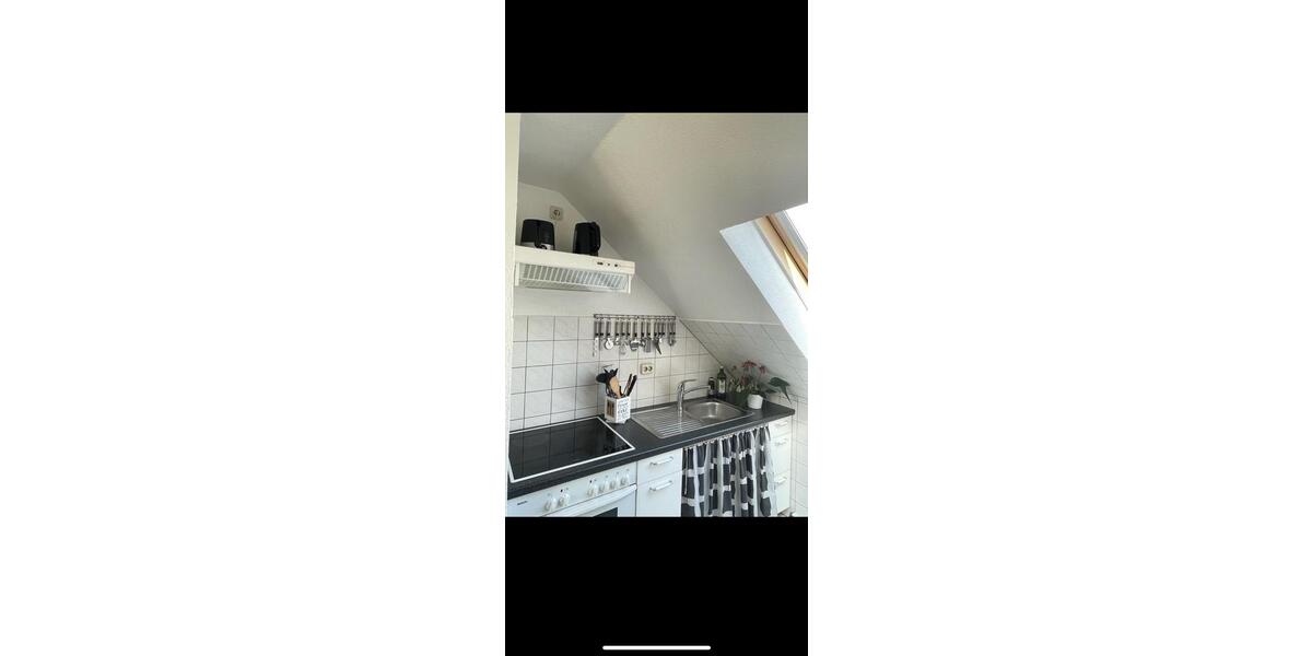 Dachgeschoßwohnung Greifswald - 2 Zimmer, 42 m&sup2;, 630&euro; | Angebot:25934621