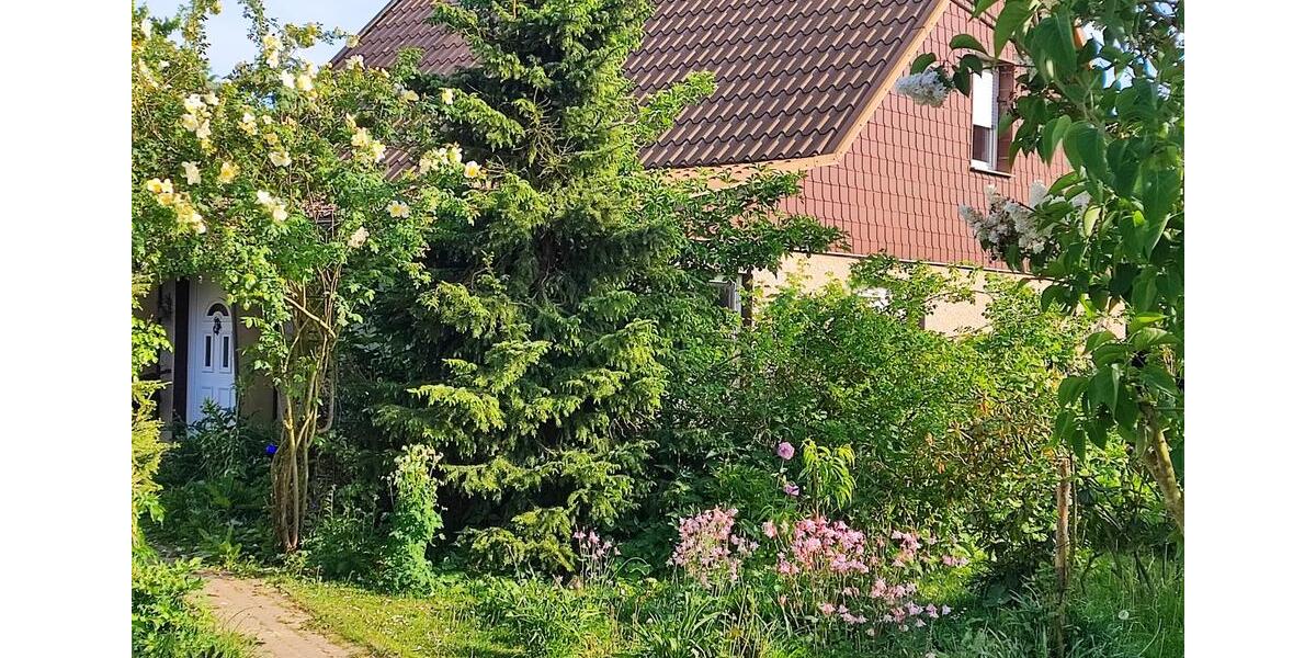 Einfamilienhaus Karlsburg - 6 Zimmer, 100 m&sup2;, 160.000&euro; | Angebot:25364312