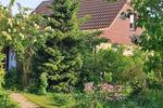 Einfamilienhaus Karlsburg - 6 Zimmer, 100 m&sup2;, 160.000&euro; | Angebot:25364312