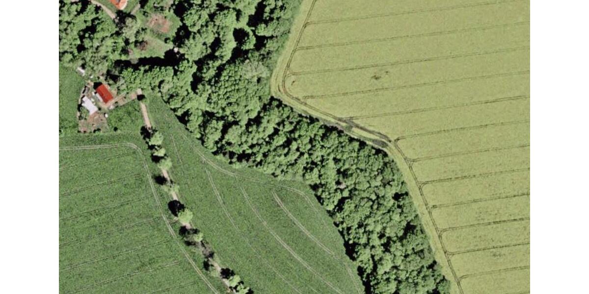 Villa Gützkow - 20 Zimmer, 1.500 m&sup2;, 129.000&euro; | Angebot:25271800