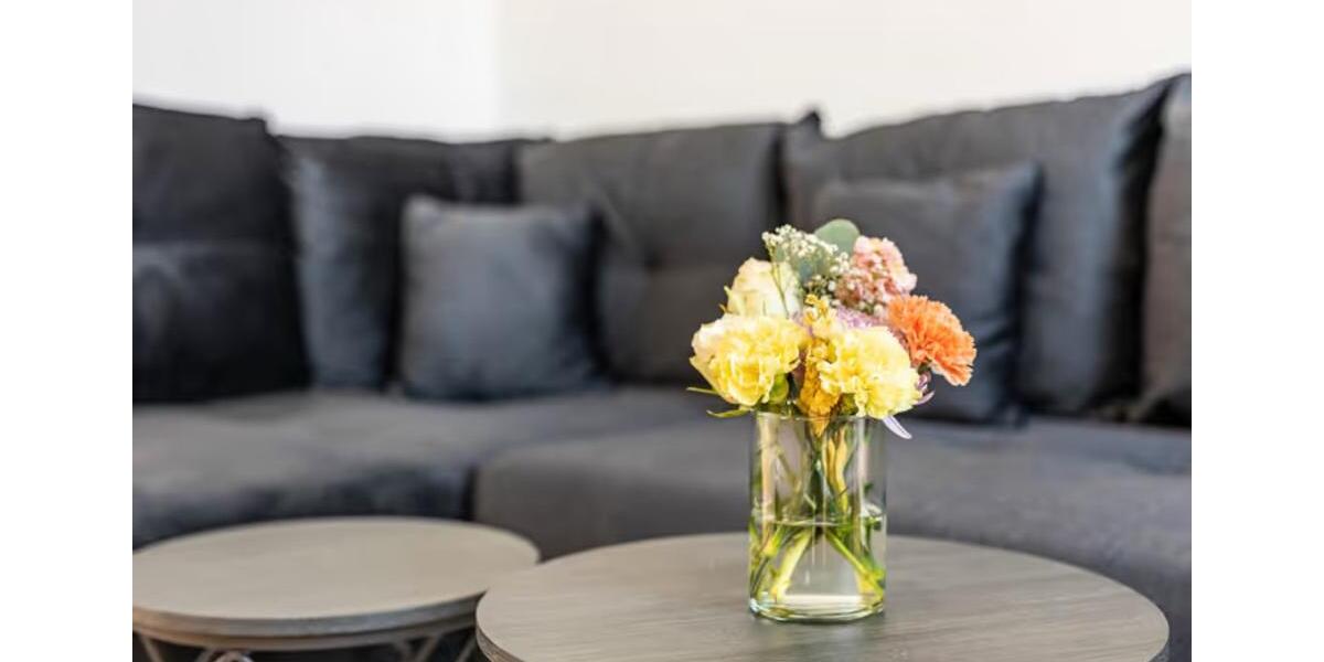 Loft - Studio - Atelier Greifswald - 2 Zimmer, 36 m&sup2;, 1.200&euro; | Angebot:20124450