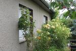 Einfamilienhaus Karlsburg - 6 Zimmer, 90 m&sup2;, 150.000&euro; | Angebot:27243124